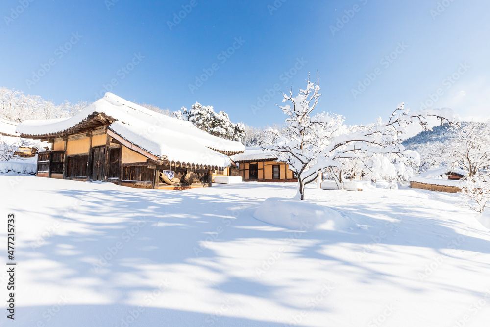 Snow scene in a traditional village with many snow