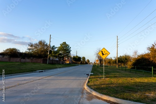 Duck zone warning sign shape of rhombus in back and yellow with duck family icon, transportation in the katy park , Texas ,USA photo