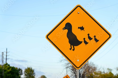 Duck zone warning sign shape of rhombus in back and yellow with duck family icon, transportation in the katy park , Texas ,USA