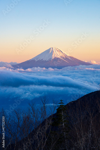 鳳凰三山からの風景　夕焼けの富士山と雲海