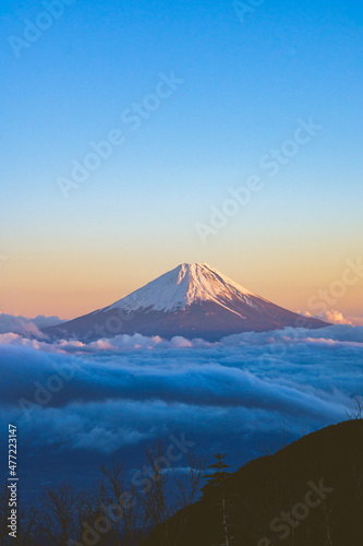 夕焼けに染まる富士山と雲海