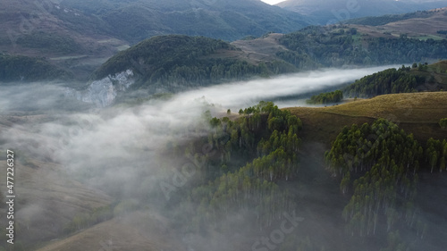 Foggy Hills