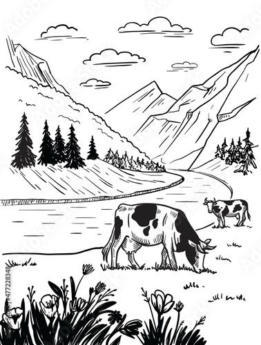 Cows graze in alpine meadows vector illustration