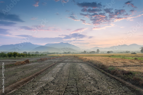 land scape of beautiful morning at thailand country side with rice field