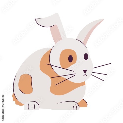 cute bunny design
