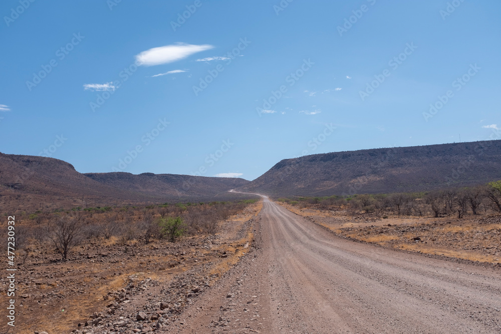 View of a desertic Namibian road landscape