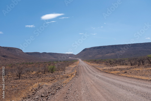 View of a desertic Namibian road landscape