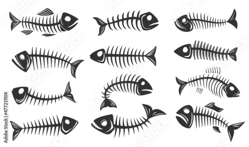 Fish bone icons. Fishbone isolated skeleton silhouettes. Vector black skulls and spines of salmon fish, monochrome symbols set for pirate, ecology or environment theme