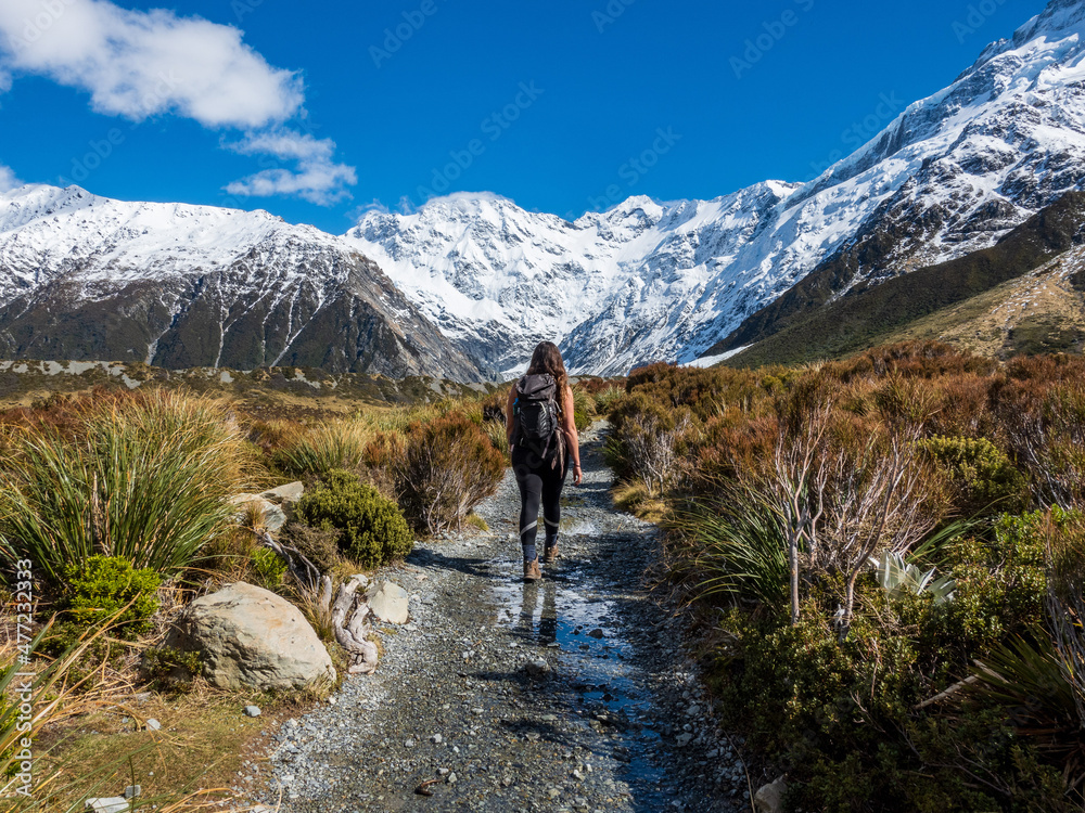 Female hiker on the alpine track to Mount Cook New Zealand with view of the snowy mountain range