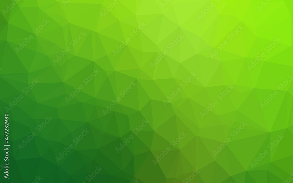Fototapeta premium Light Green vector polygon abstract backdrop.