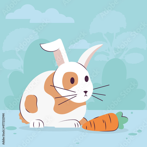 rabbit and carrot