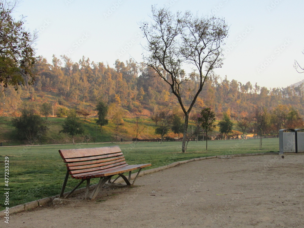 bench in the park bench in the park