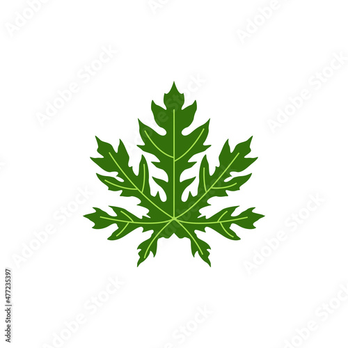 papaya leaf graphic design template vector