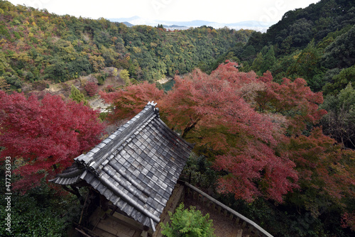 大悲閣千光寺　観音堂から市内遠望　京都市西京区嵐山