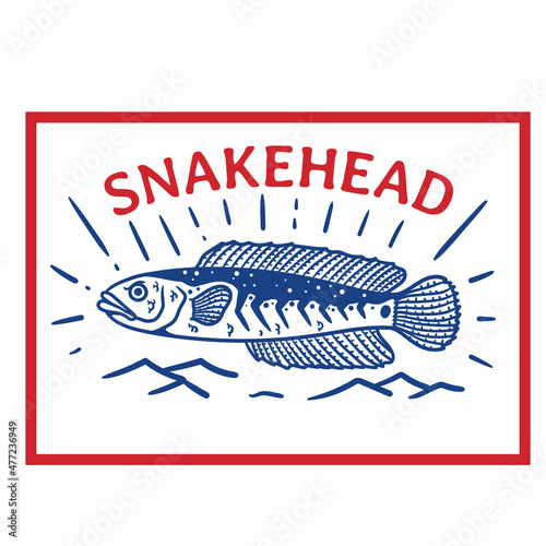 vintage style red blue snakehead fish logo photo