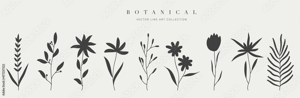 Botanical arts. Hand drawn continuous line drawing of abstract flower and floral. Vector illustration.
 - obrazy, fototapety, plakaty 