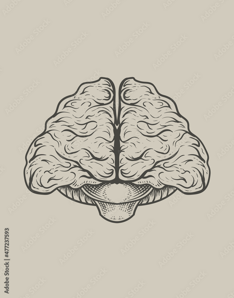 Naklejka premium illustration antique brain with engraving style