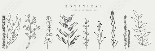 Botanical arts. Hand drawn continuous line drawing of abstract flower and floral. Vector illustration.
