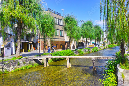 京都市東山区の白川に掛かる一本橋と柳並木の風景
 photo