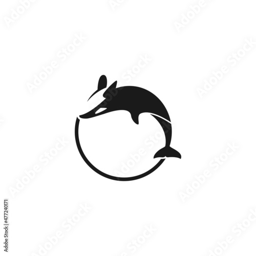 Orca logo 