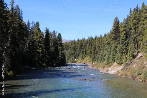 Maligne River, Jasper National Park, Alberta