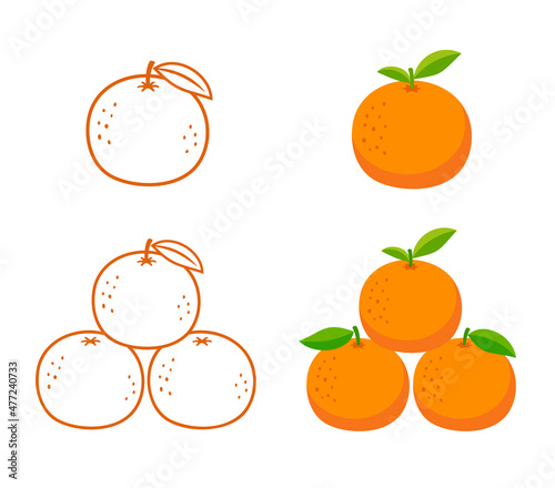 mandarin orange tangerine fruit set vector isolated photo