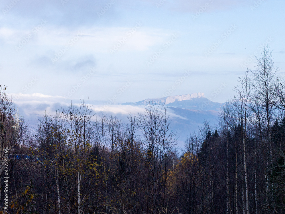 Autumn period in a natural park, serpentine highway with a view of a mountain range of mountains in a blue haze, trees with fallen leaves, panoramic views of the area.