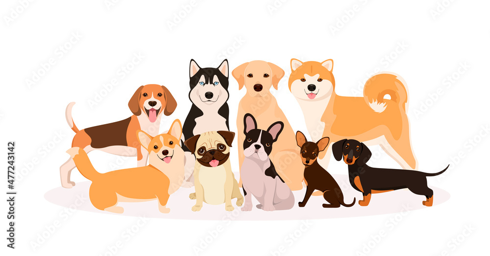 A set of purebred dogs on a white background. Cartoon dihain.
