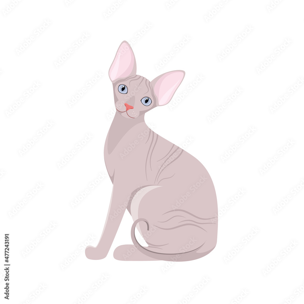 Obraz premium Sphinx cat on a white background. Cartoon design. 