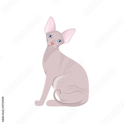 Sphinx cat on a white background. Cartoon design.
