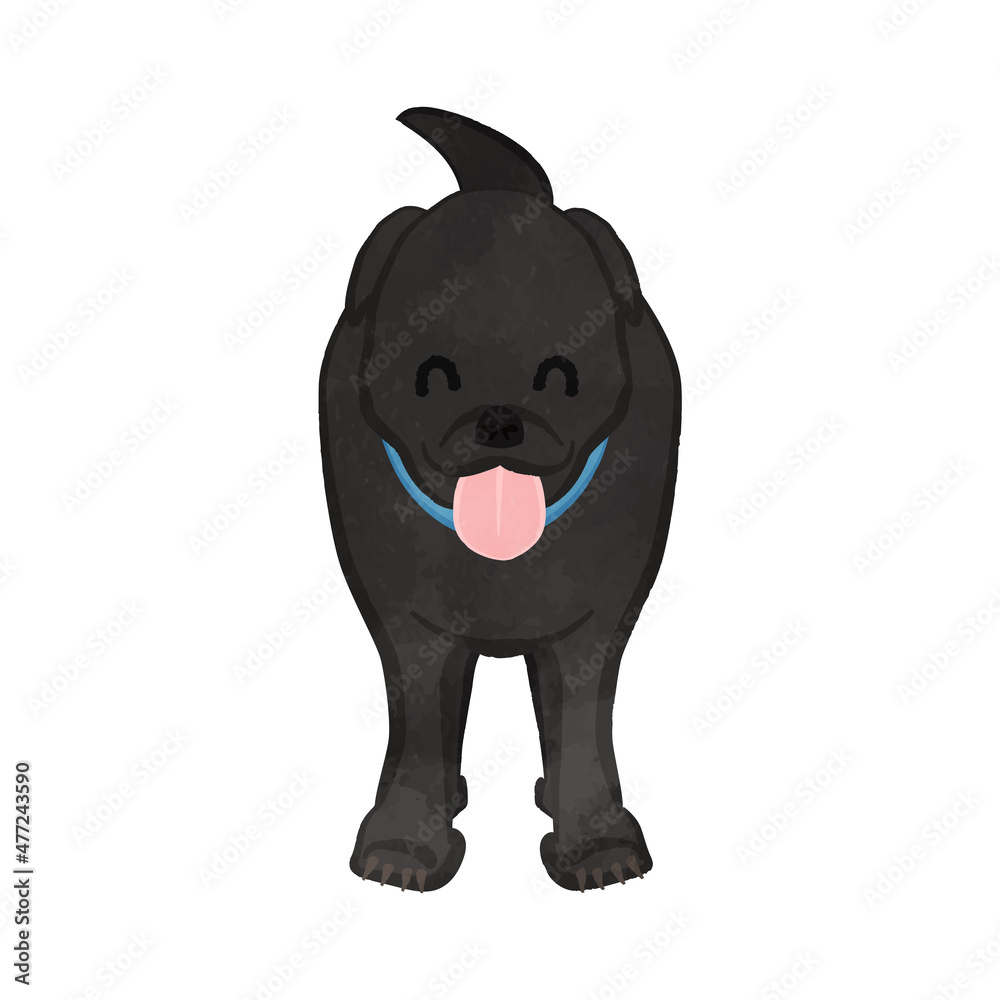 Fototapeta premium Cute American smiling hunting dog Black dog Ver