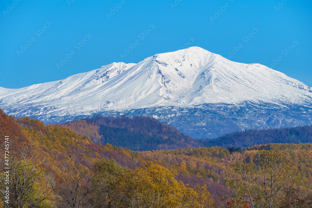 Fototapeta premium 北海道美瑛 大雪山と紅葉 秋と冬の狭間