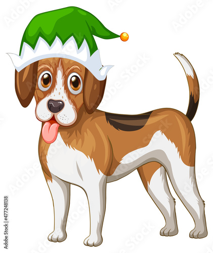 Beagle dog wearing Christmas hat