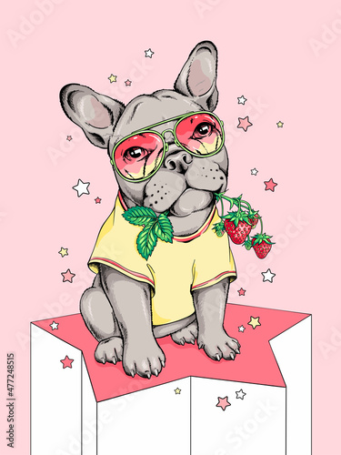 Cute french bulldogdog with a sprig of strawberries. Sweet illustration in hand-drawn style. Stylish image for printing on any surface	 photo