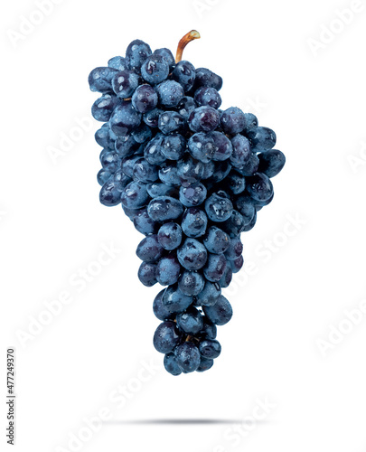 Wallpaper Mural Dense bunch of dark blue grapes in drops of water, isolated on white background. File contains a path to isolation. Torontodigital.ca