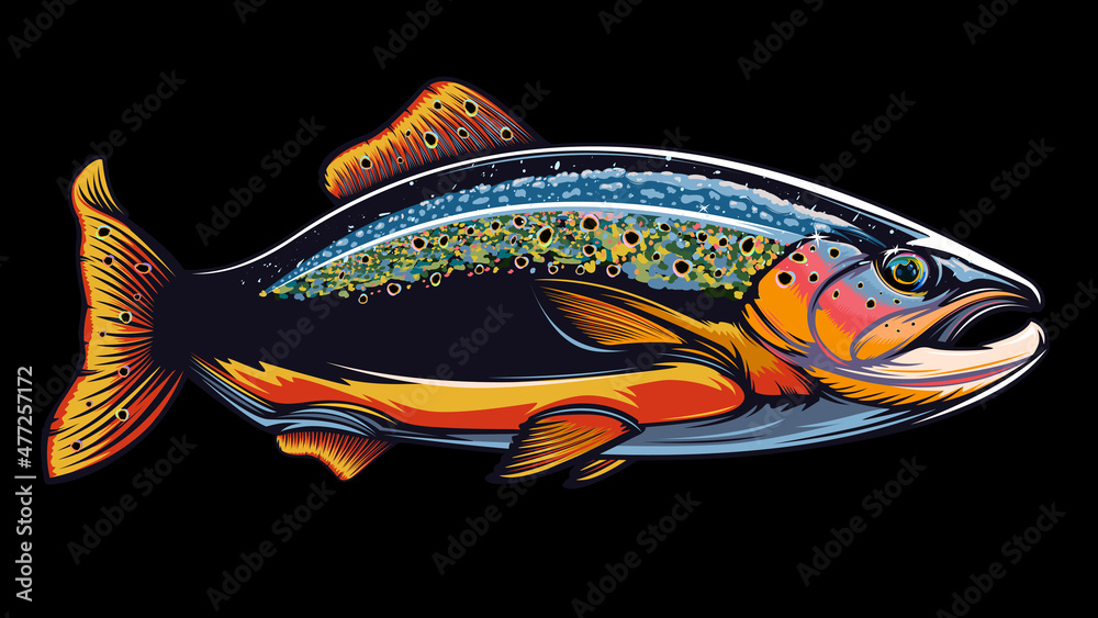 Rainbow trout jumping out water.Salmon isolated on white background. Concept art for horoscope, tattoo or colouring book. Rainbow trout jumping out water.Salmon isolated on white background. Concept art for horoscope, tattoo or colouring book.