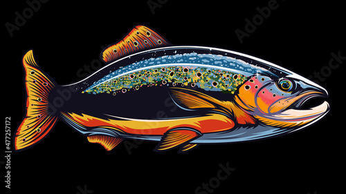 Rainbow trout jumping out water.Salmon isolated on white background. Concept art for horoscope, tattoo or colouring book.