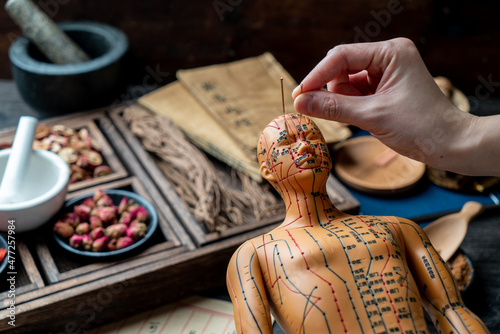 Quadro su tela Acupuncture models and medical books are on the table