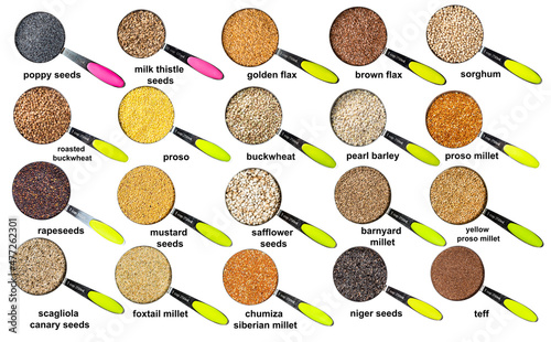 measuring cups with various seeds with names photo