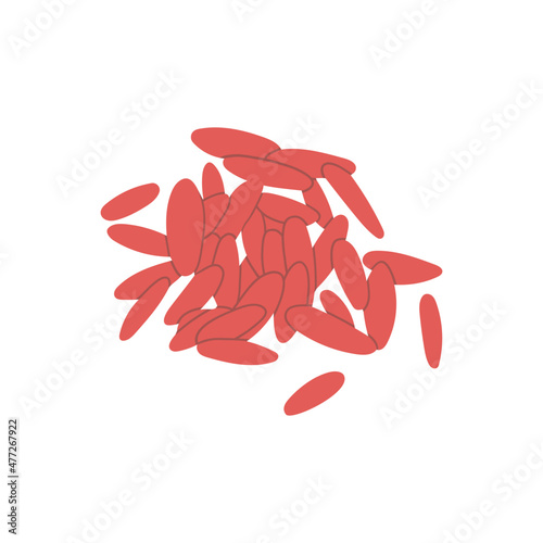 Red Fermented Rice. Vector hand drawn illustration. Isolated on white background.