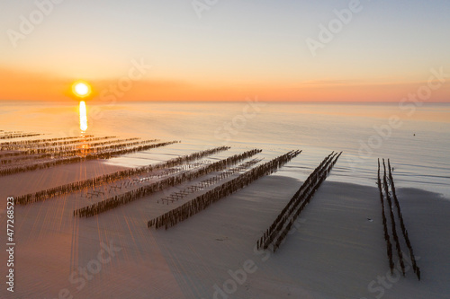 Les bouchots le long de la plage, à marée basse