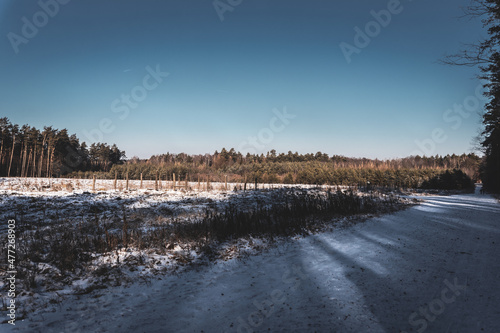 Zimowy krajobraz o poranku polana w lesie w śniegu