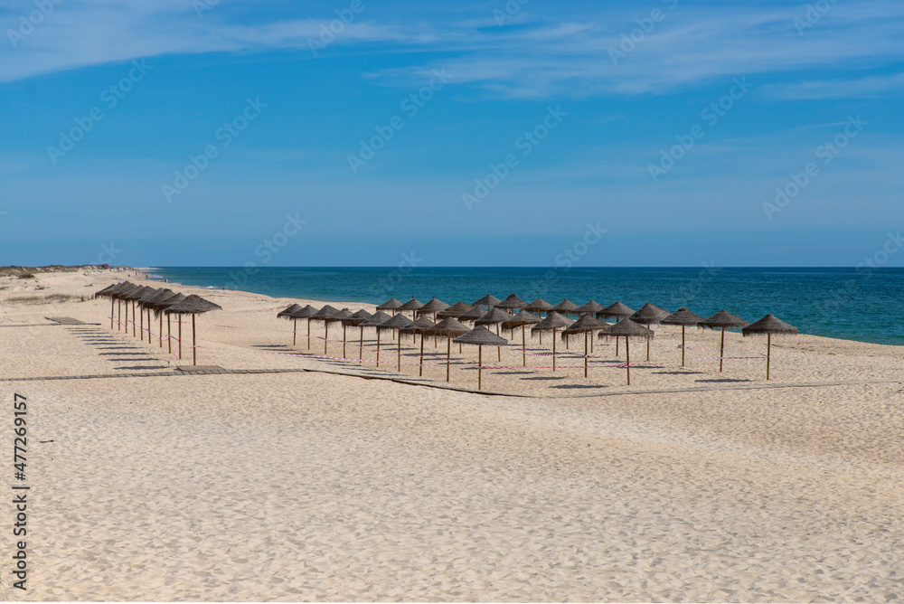 empty beach with blue  sky and parasols