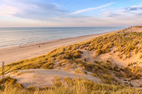 Les dunes de Quend-plage couvertes d oyats