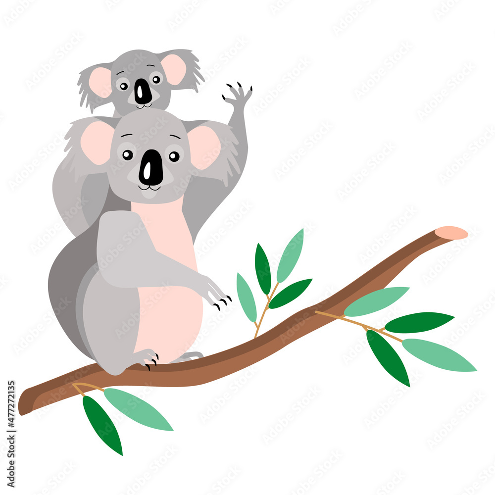 An attractive koala with a small cub on a tree, isolated on a white background.Vector illustration. An attractive koala with a small cub on a tree, isolated on a white background.Vector illustration.