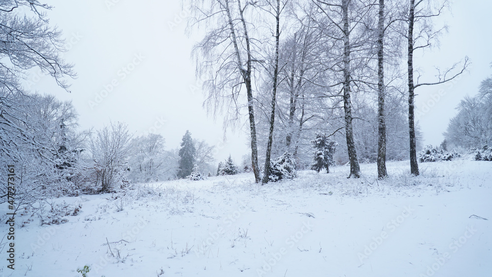 Cold snowy winter landscapes in the forest along the Albsteig hiking trek in Baden-Württemberg, Germany.