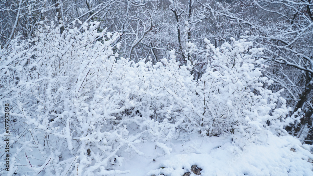 Fototapeta premium Cold snowy winter landscapes in the forest along the Albsteig hiking trek in Baden-Württemberg, Germany.