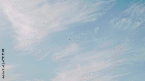 Bottom view of drone flying in the skies. Sunny afternoon on Yamal peninsula.