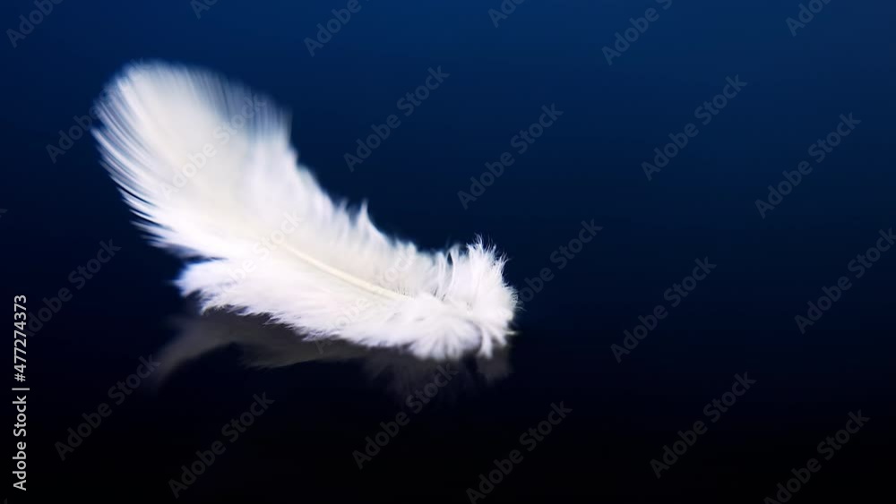 A white fluffy feather floats slowly on the water on a blue background. 4k macro slow motion video 60 fps.