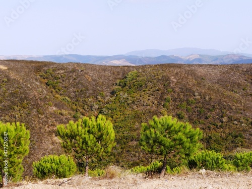 Paysage typique de l'Alentejo au sud du Portugal